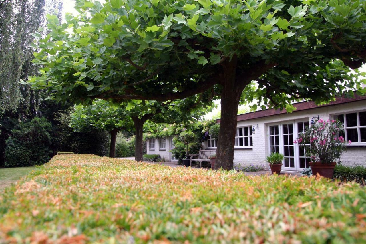 Villa Pura Vida Cortrique Exterior foto